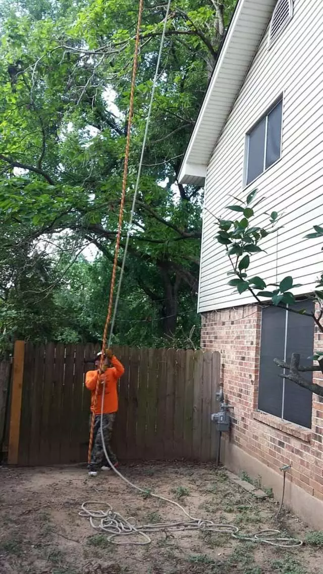 Austin All Seasons Tree Service