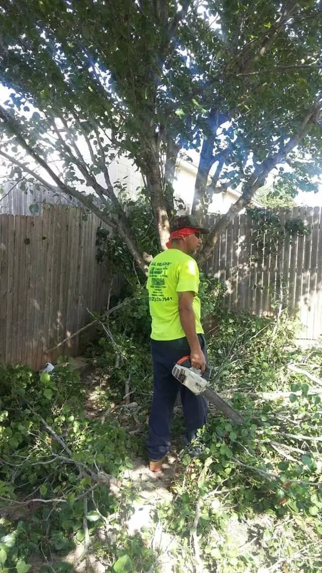 Austin All Seasons Tree Service