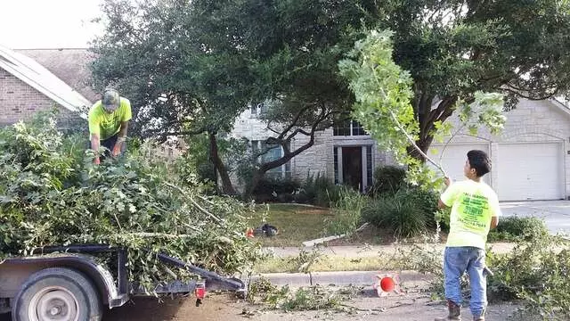 Austin All Seasons Tree Service