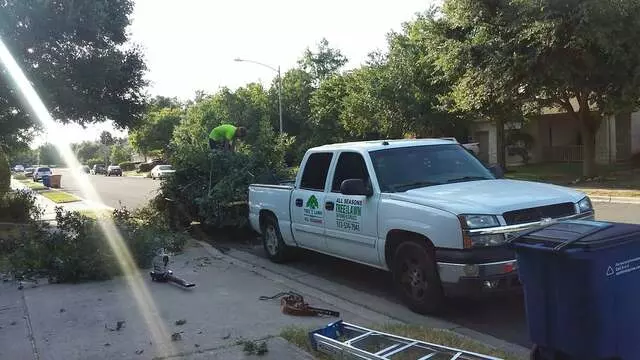 Austin All Seasons Tree Service