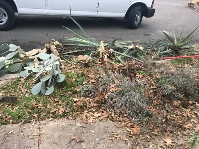 Austin All Seasons Tree Service
