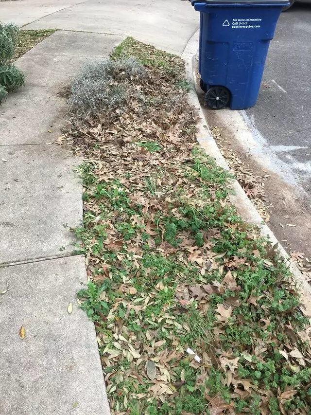 Austin All Seasons Tree Service