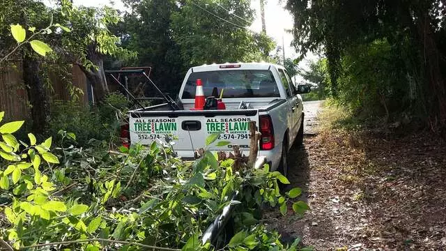 Austin All Seasons Tree Service