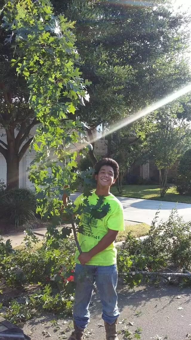 Austin All Seasons Tree Service