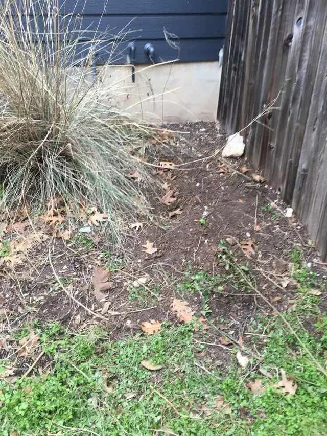 Austin All Seasons Tree Service