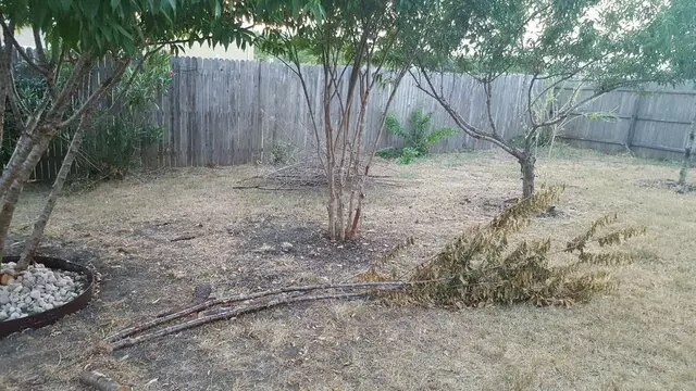 Austin All Seasons Tree Service