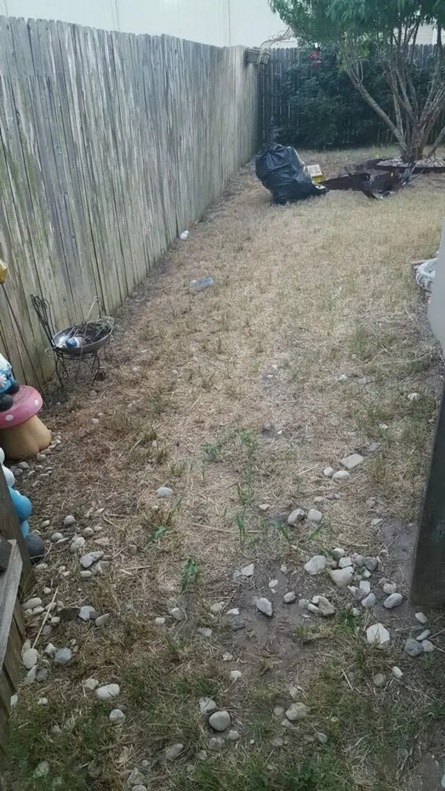 Austin All Seasons Tree Service