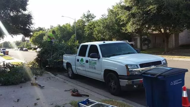 Austin All Seasons Tree Service