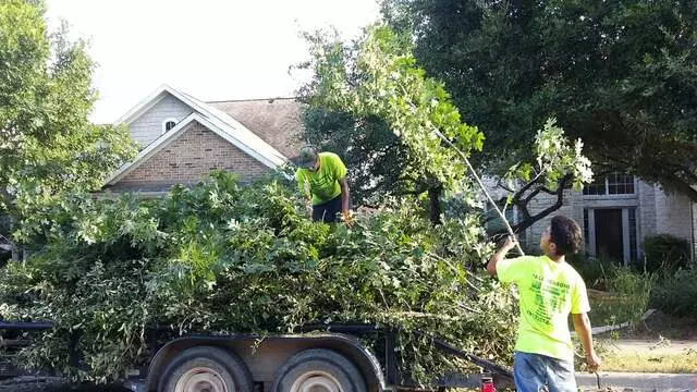 Austin All Seasons Tree Service