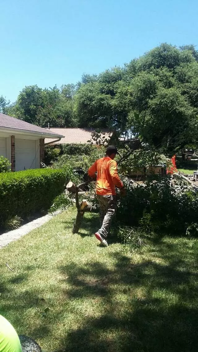 Austin All Seasons Tree Service