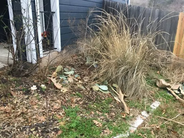 Austin All Seasons Tree Service