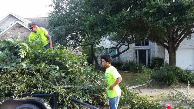 Austin All Seasons Tree Service