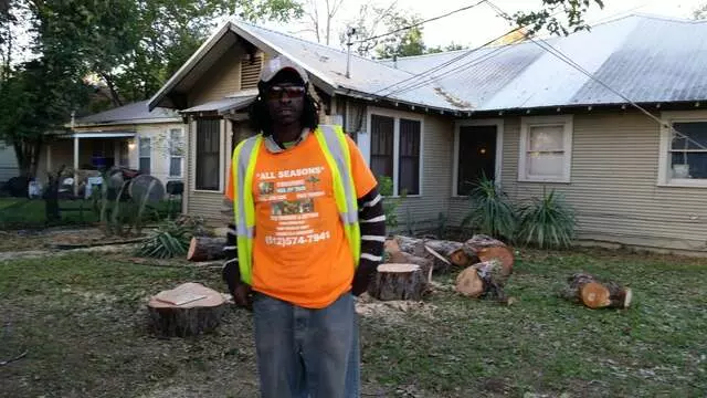Austin All Seasons Tree Service