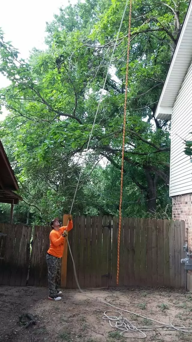 Austin All Seasons Tree Service
