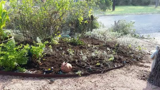Austin All Seasons Tree Service