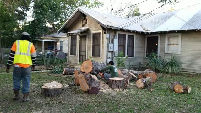 Austin All Seasons Tree Service