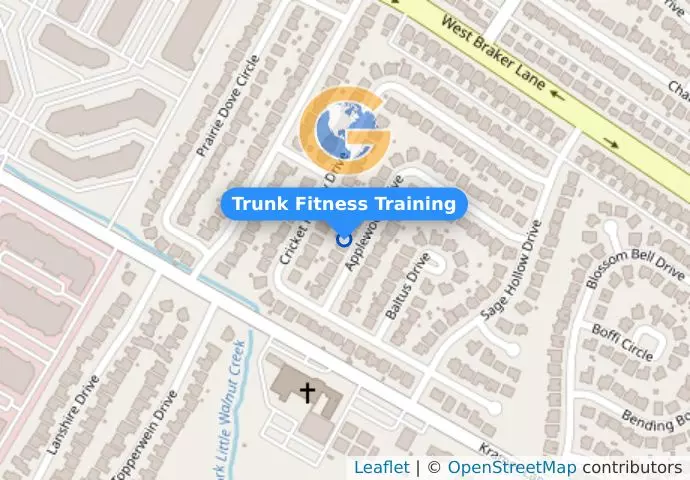 Trunk Fitness Training