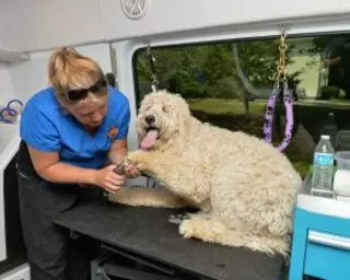 Aussie Pet Mobile ATX