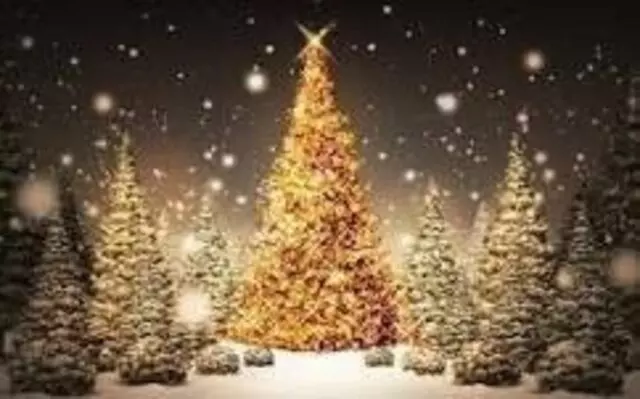 Aurora Lights Limos and Transport