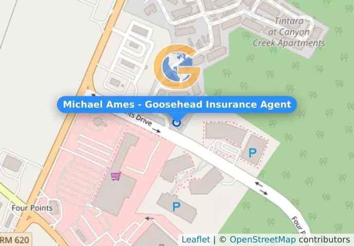 Michael Ames - Goosehead Insurance Agent