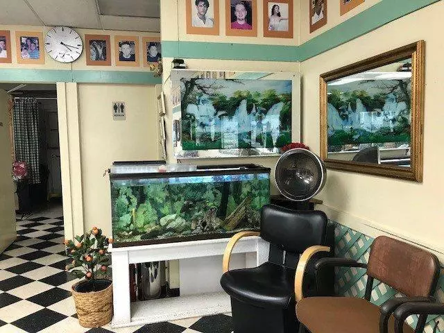 Anderson Lane Barber Shop
