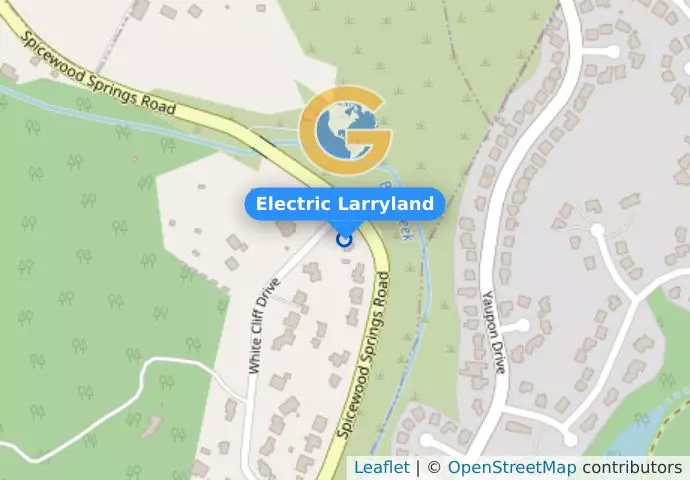 Electric Larryland