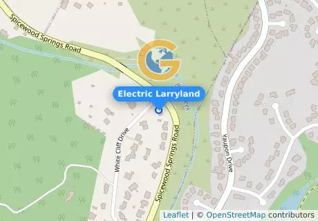 Electric Larryland