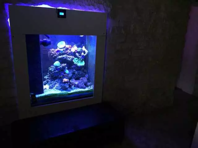 Aquatek Tropical Fish