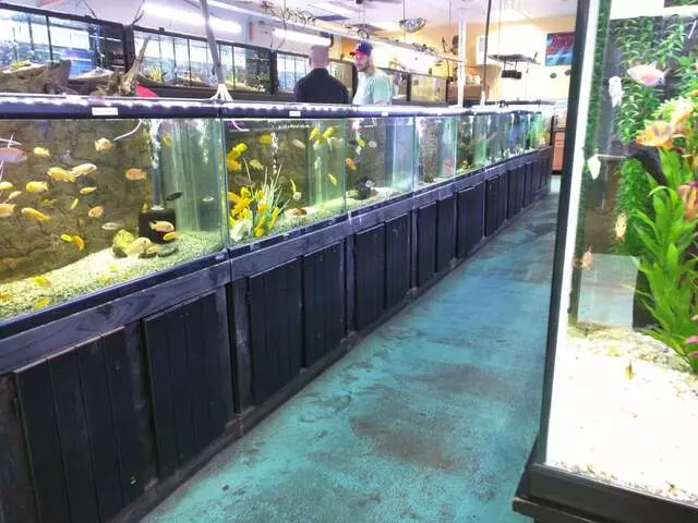 Aquatek Tropical Fish