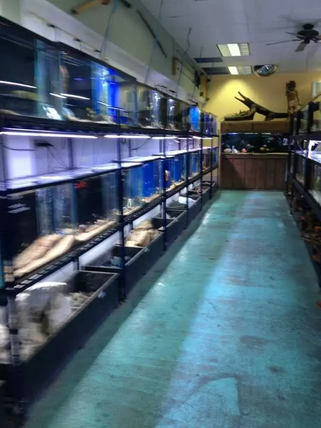 Aquatek Tropical Fish