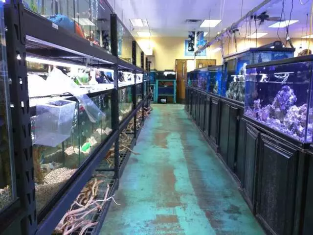 Aquatek Tropical Fish