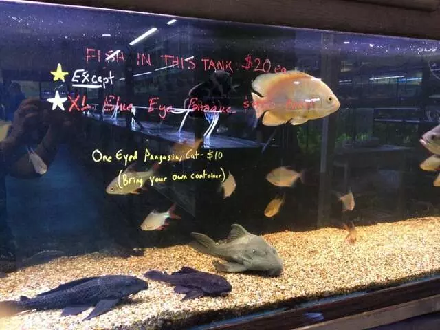 Aquatek Tropical Fish