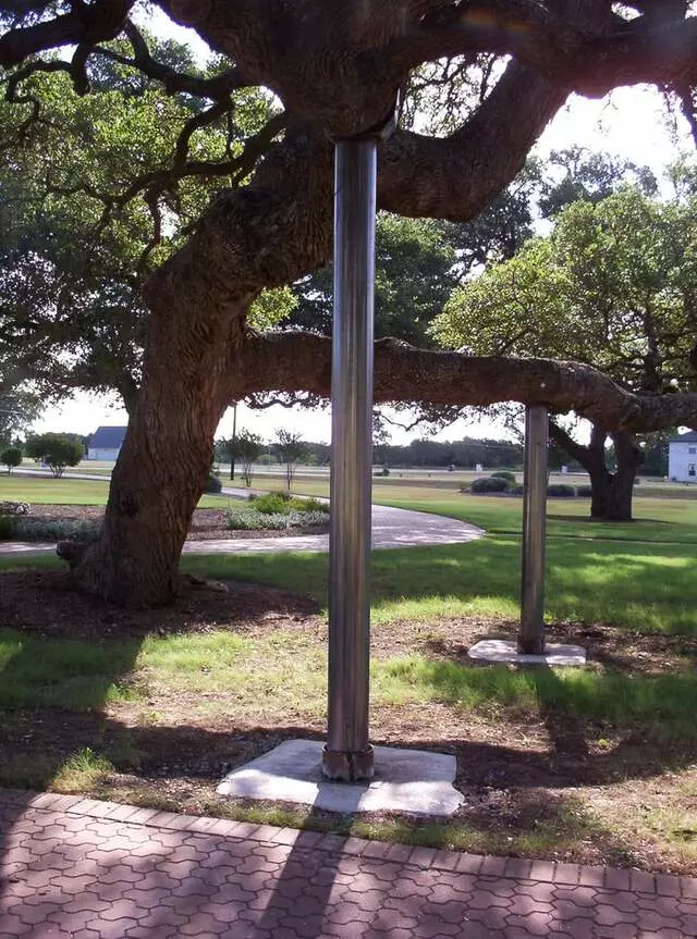 Apex Arborists