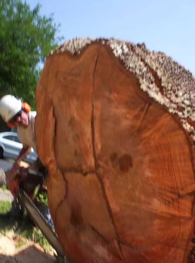 Apex Arborists