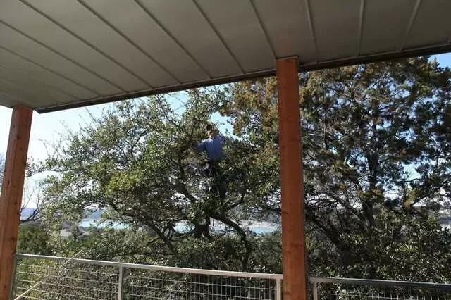Apex Arborists
