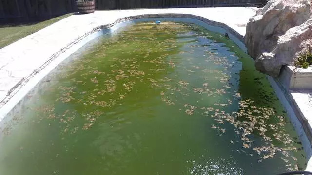 American Spa And Pool