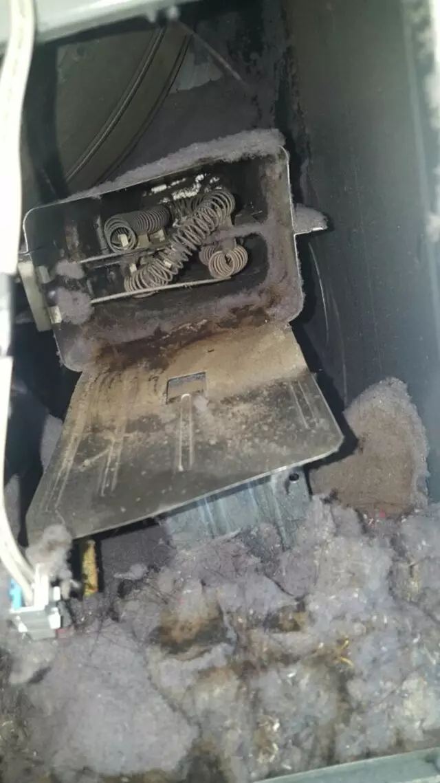 Aesthetic Repairs