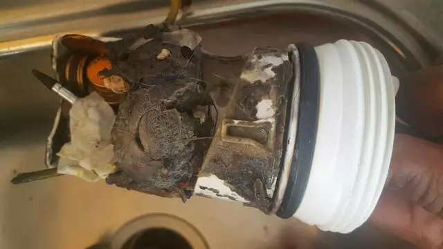 Aesthetic Repairs