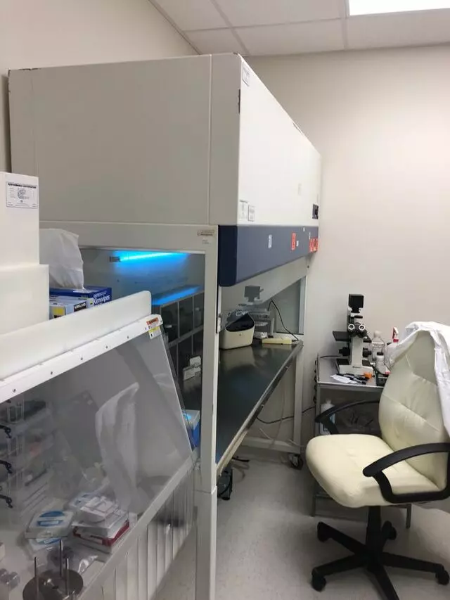 Altogen Labs