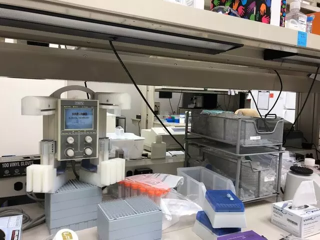 Altogen Labs