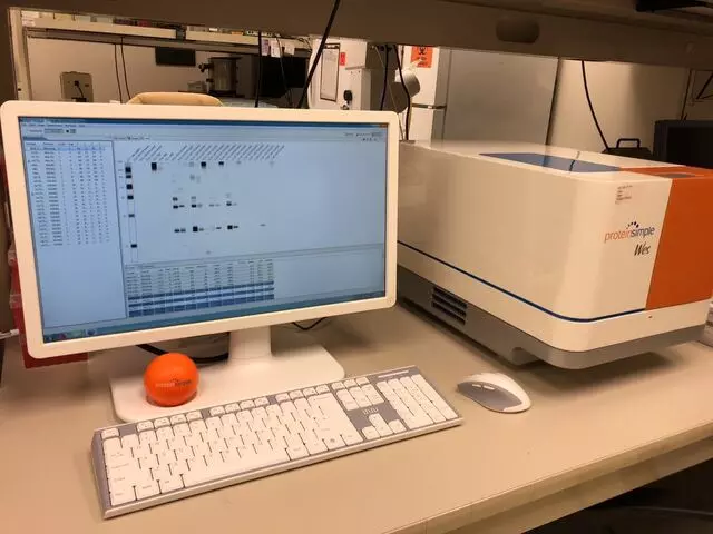 Altogen Labs