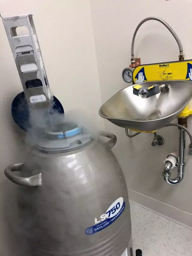 Altogen Labs