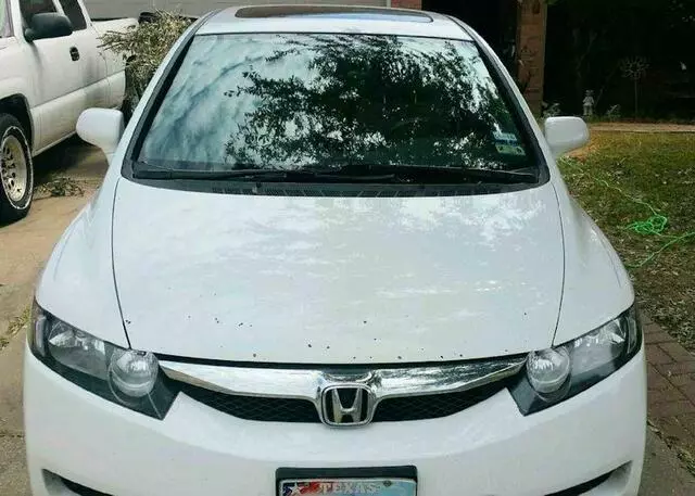 Abbey Rowe Auto Glass of Austin