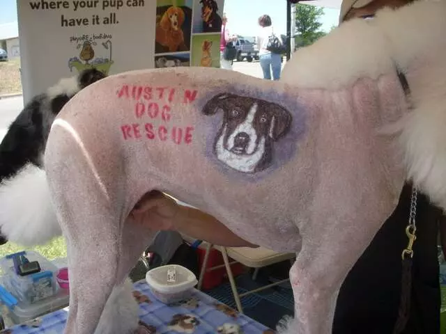 Austin Dog Rescue