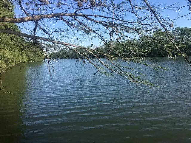 Ann & Roy Butler Hike & Bike Trail