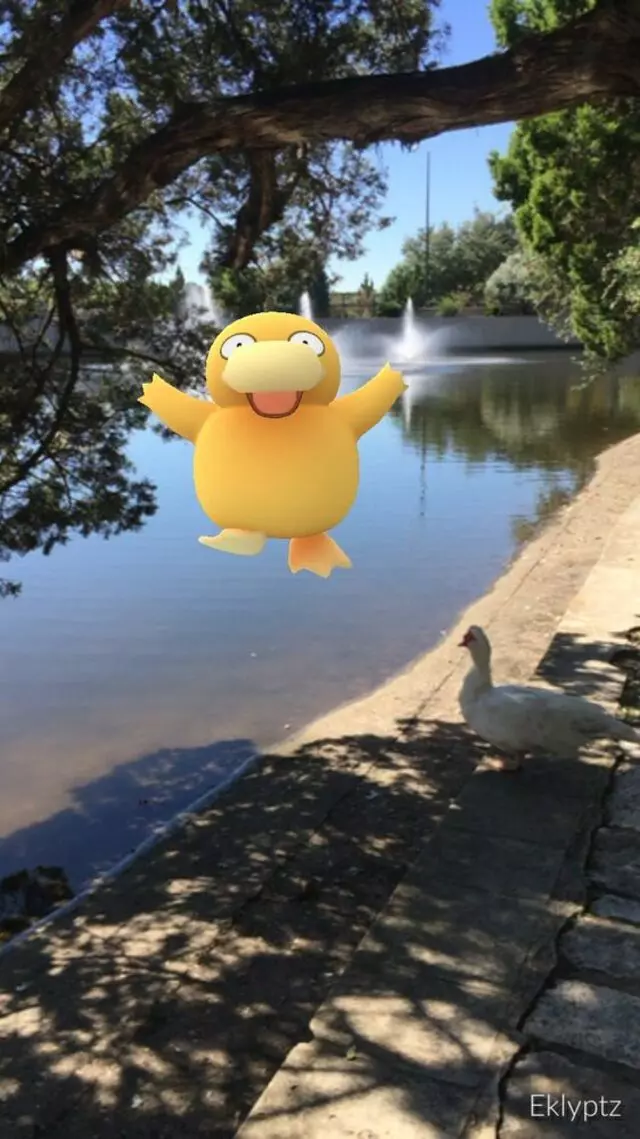 Arboretum Duck Pond