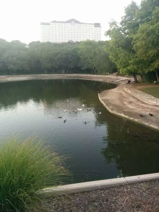 Arboretum Duck Pond