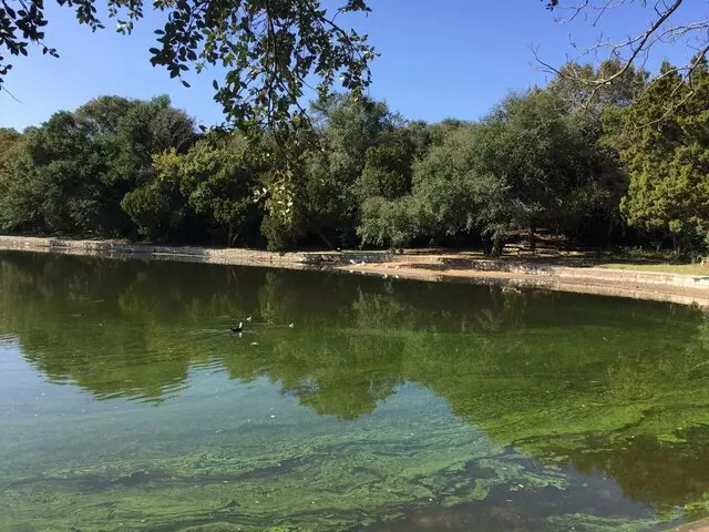 Arboretum Duck Pond