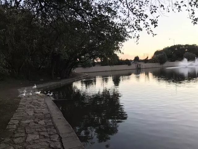 Arboretum Duck Pond