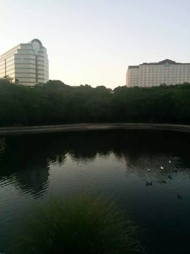 Arboretum Duck Pond